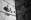   » Click to zoom ->
