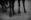   » Click to zoom ->