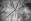   » Click to zoom ->