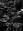   » Click to zoom ->