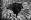   » Click to zoom ->