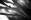   » Click to zoom ->