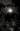   » Click to zoom ->