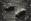   » Click to zoom ->