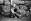   » Click to zoom ->
