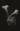   » Click to zoom ->