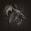   » Click to zoom ->