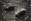   » Click to zoom ->